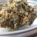Utiliser le CBD dans le domaine du sport